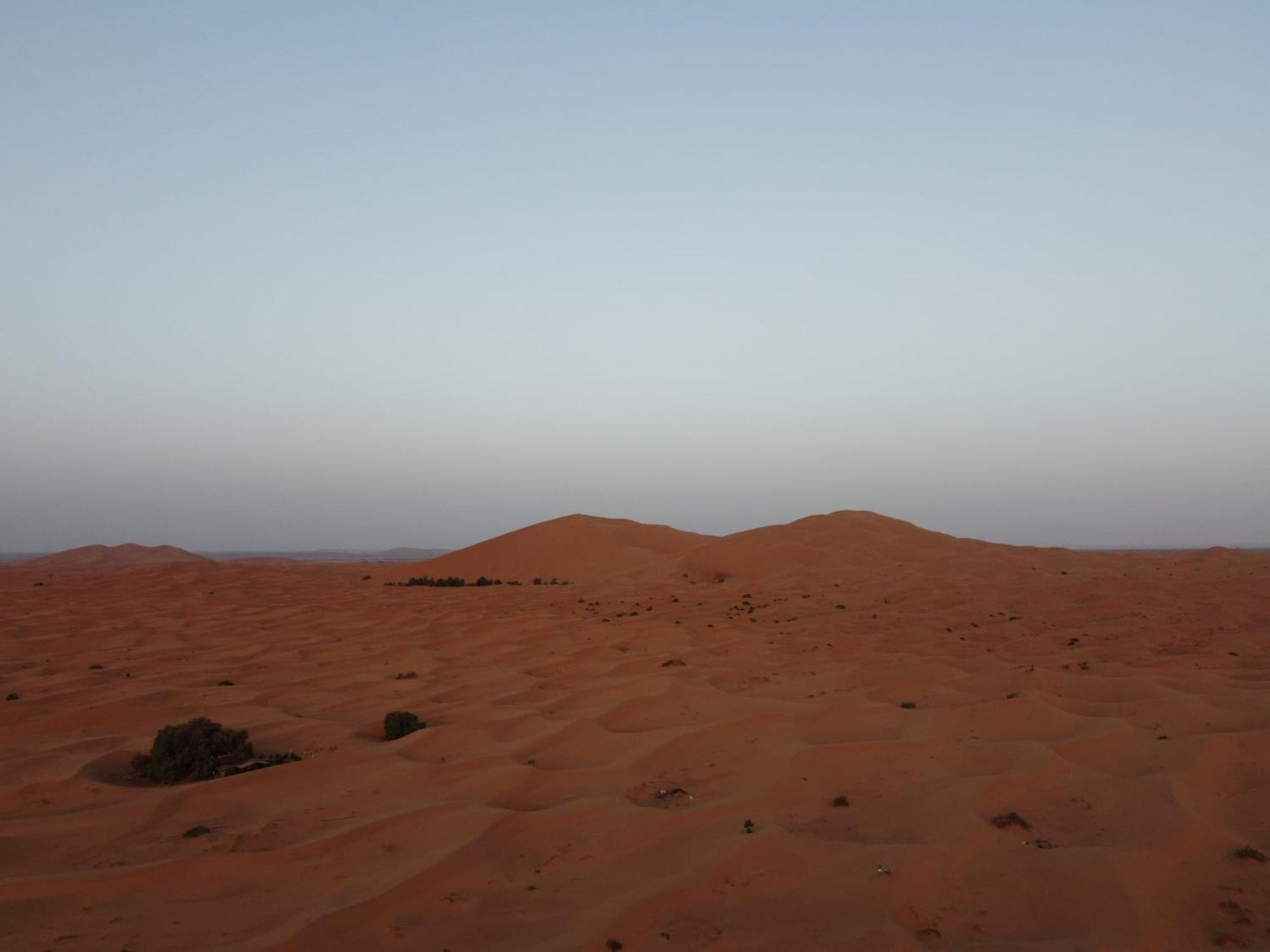 Desert Berber Camp เมอร์ซูกา ภายนอก รูปภาพ